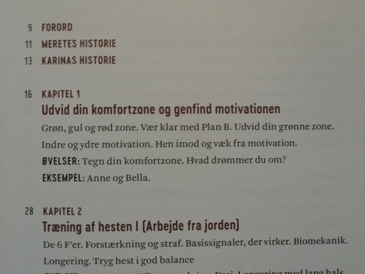 Billede 2 - tryg til hest - tips og øvelser til ro og rideglæd