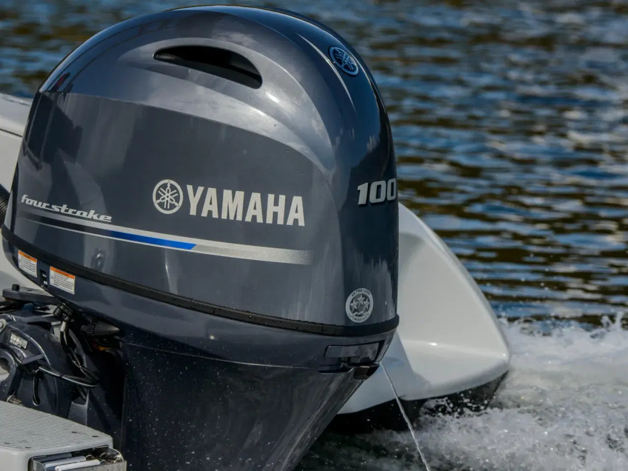 Billede 6 - Yamaha F100LB