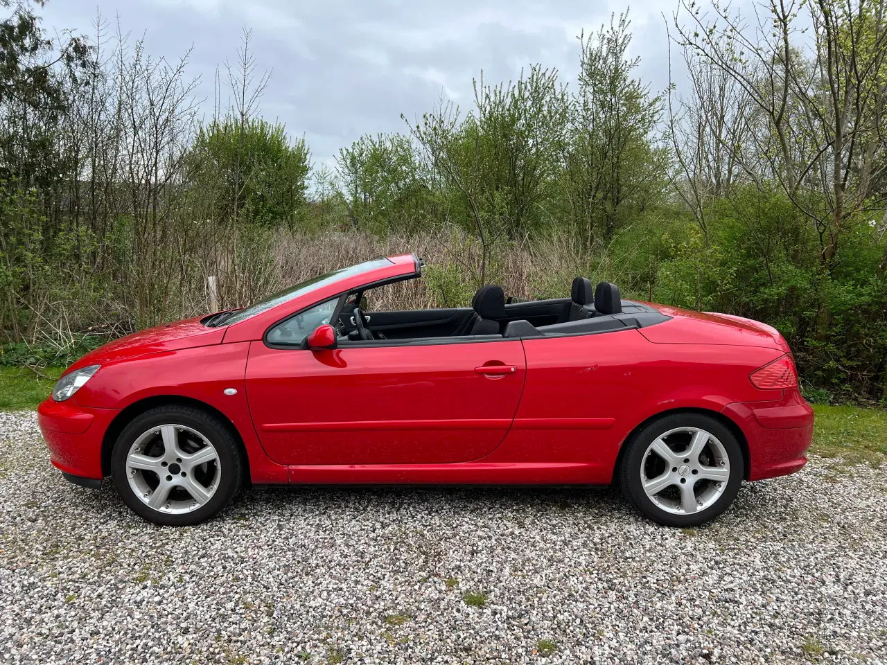 Billede 5 - Peugeot 307 CC (Cabriolet)