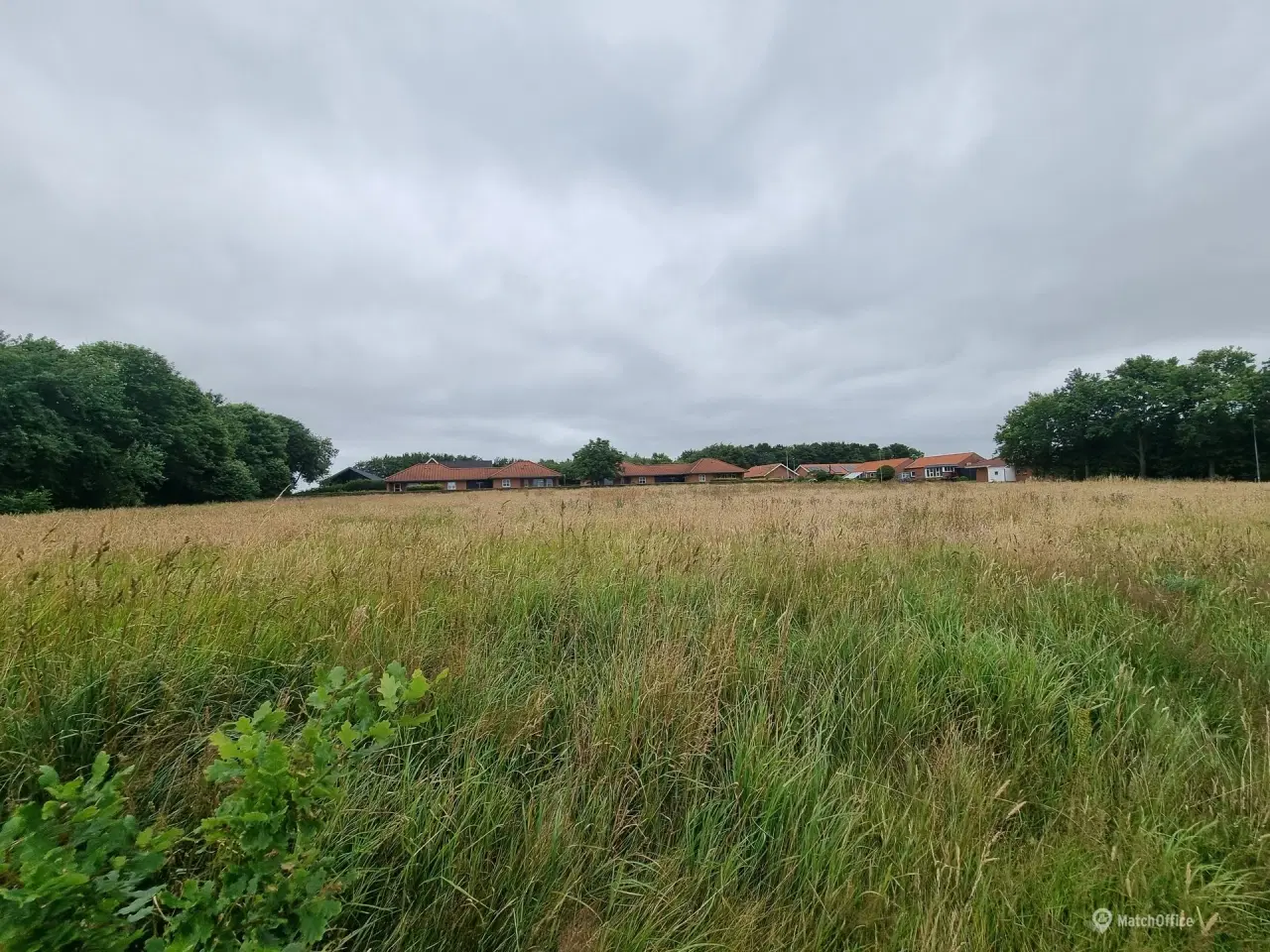 Billede 3 - 5.896 kvm stor grund med godkendt lokalplan