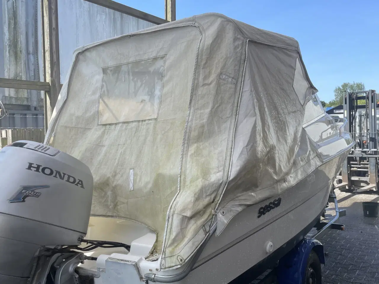 Billede 17 - Sessa Oyster 18