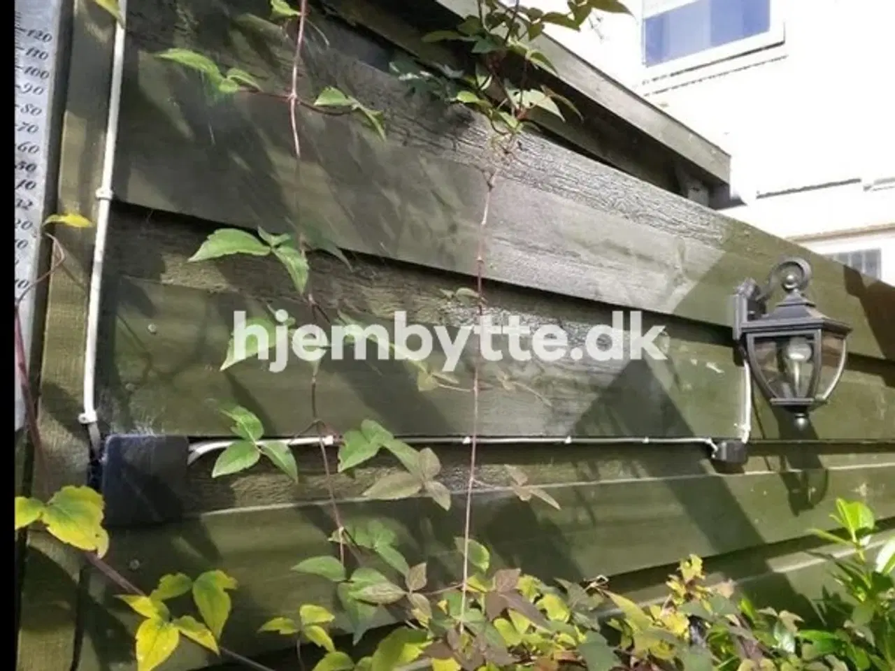 Billede 2 - Hjembytte - Muskathaven