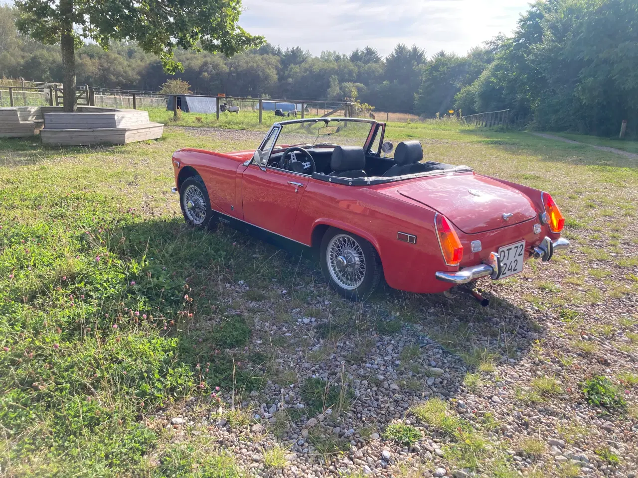 Billede 2 - Mg midget