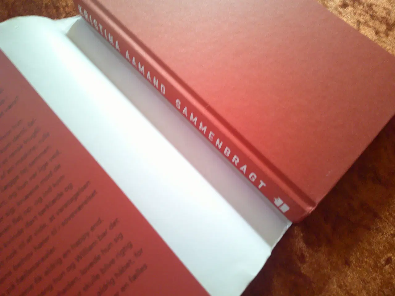 Billede 2 - Sammenbragt, Kristina Aamand