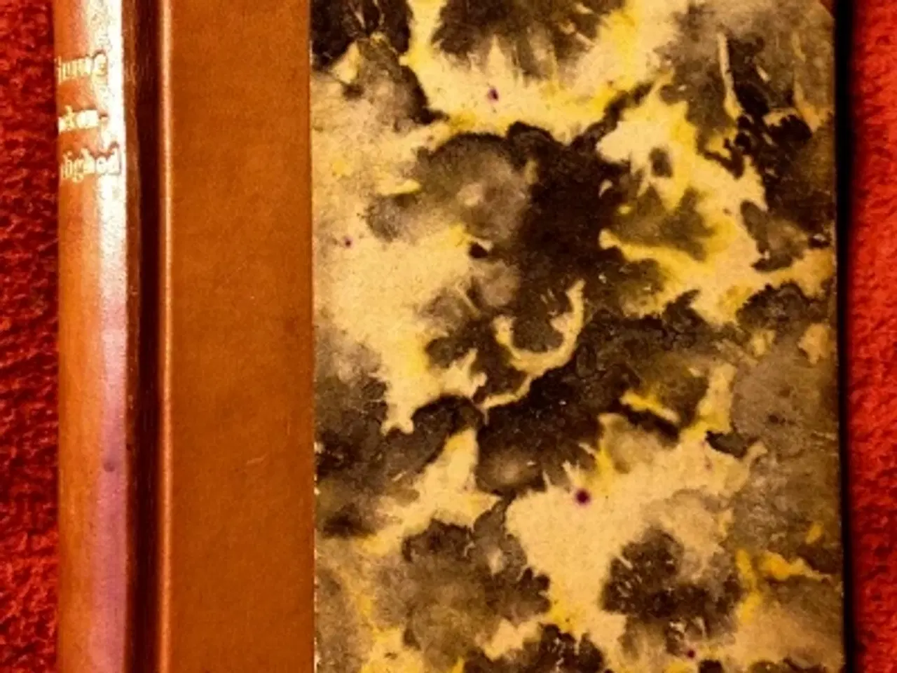 Billede 1 - Fergus Hume: Laanekontorets Hemmeligheder