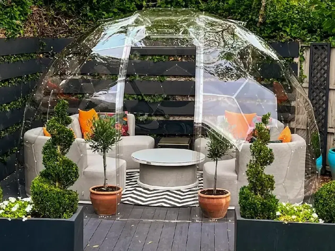 Billede 3 - Garden Dome i solid polycarbonat 4 sæsoner