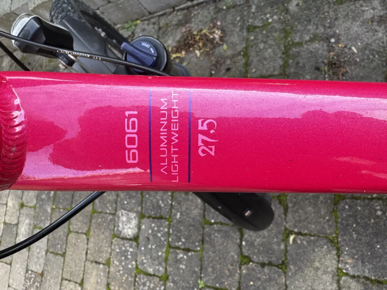 Billede 2 - SCO rebel