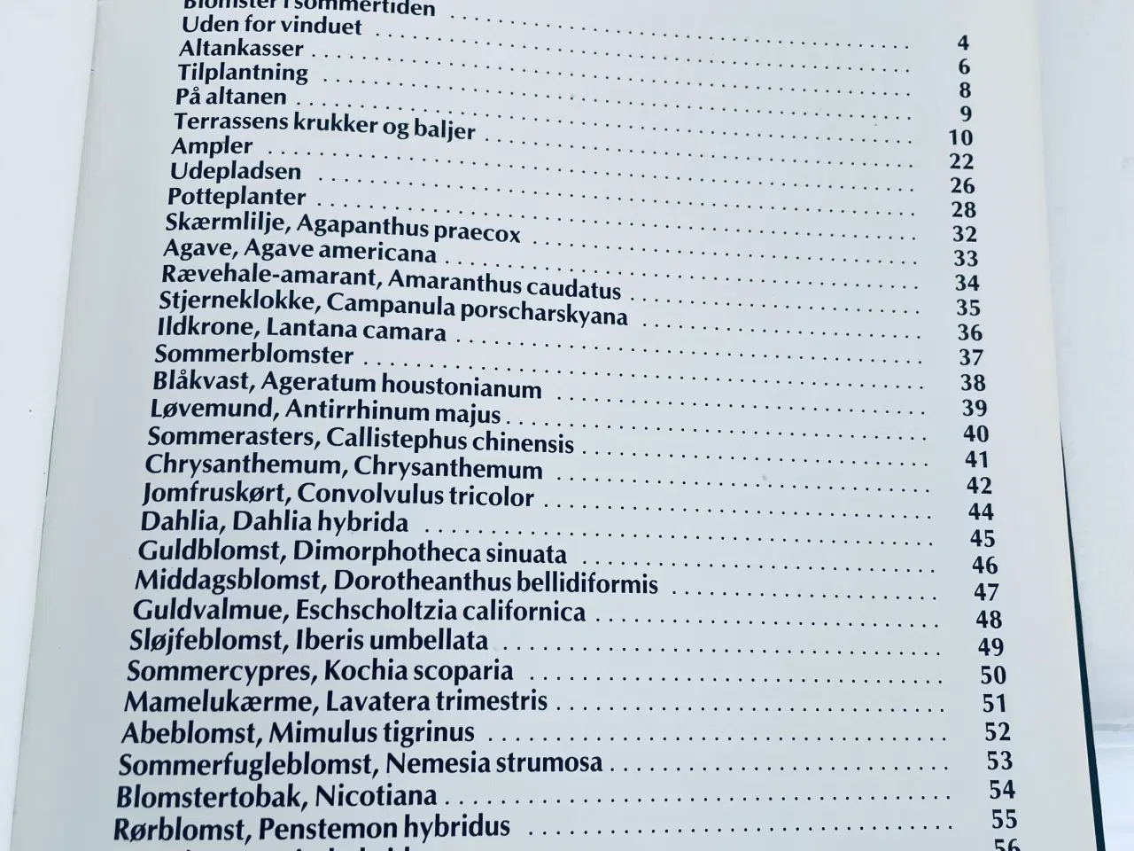 Billede 8 - Alt om stueplanter 