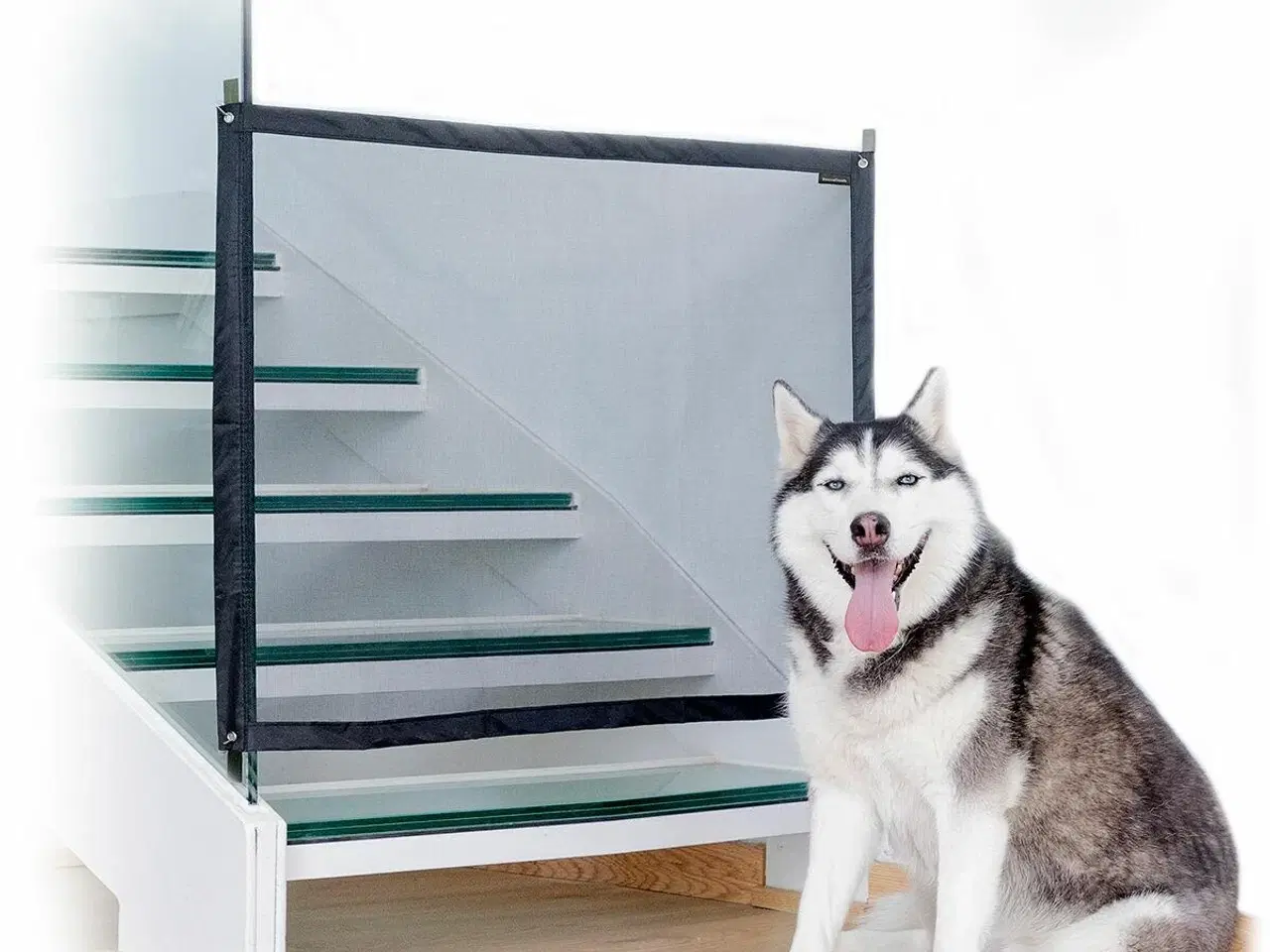 Billede 6 - Hundegitter sikkerhedsnet - Petinu, 112 × 73 cm