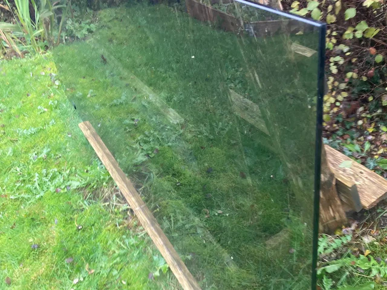 Billede 1 - glasdør til bad ,mørktonet