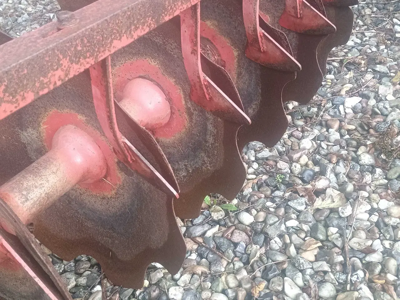 Billede 4 - Tallerken harve omme