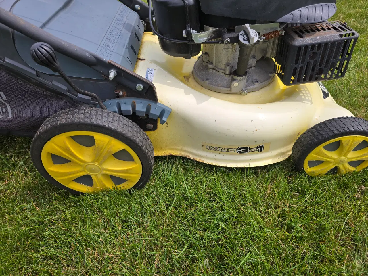 Billede 3 - Texas Sp 46 TR/W Plæneklippe