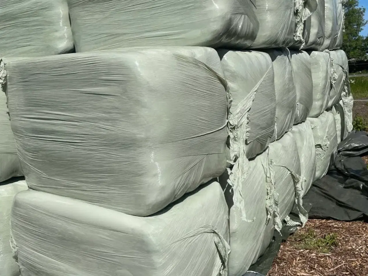 Billede 2 - Kvalitets wrap til heste