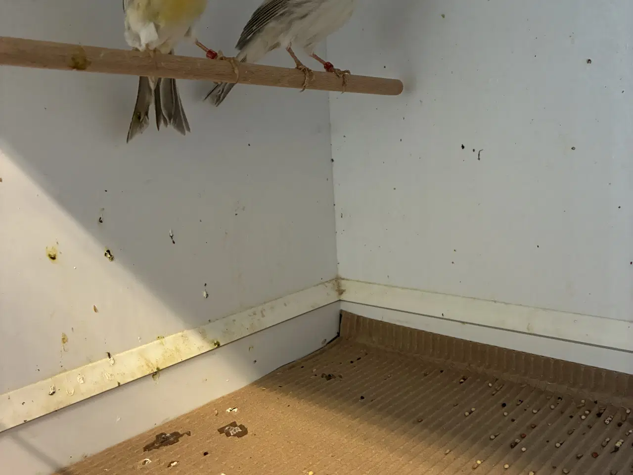 Billede 2 - Agat mosaikker fra 2024