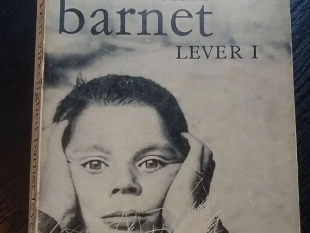 Billede 1 - Den virkelighed barnet lever i, Svend He