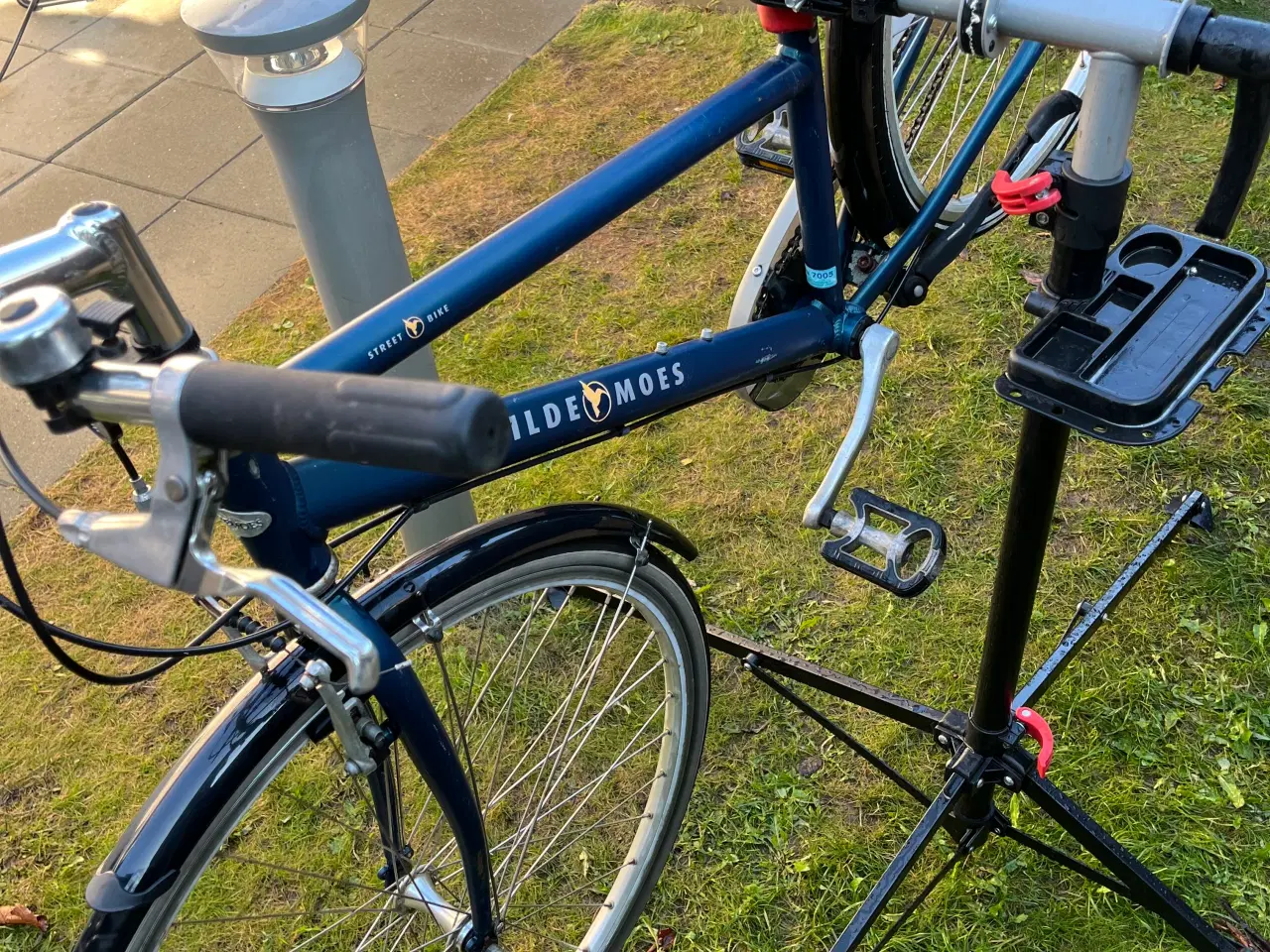 Billede 5 - Kildemoes i blå cykel 