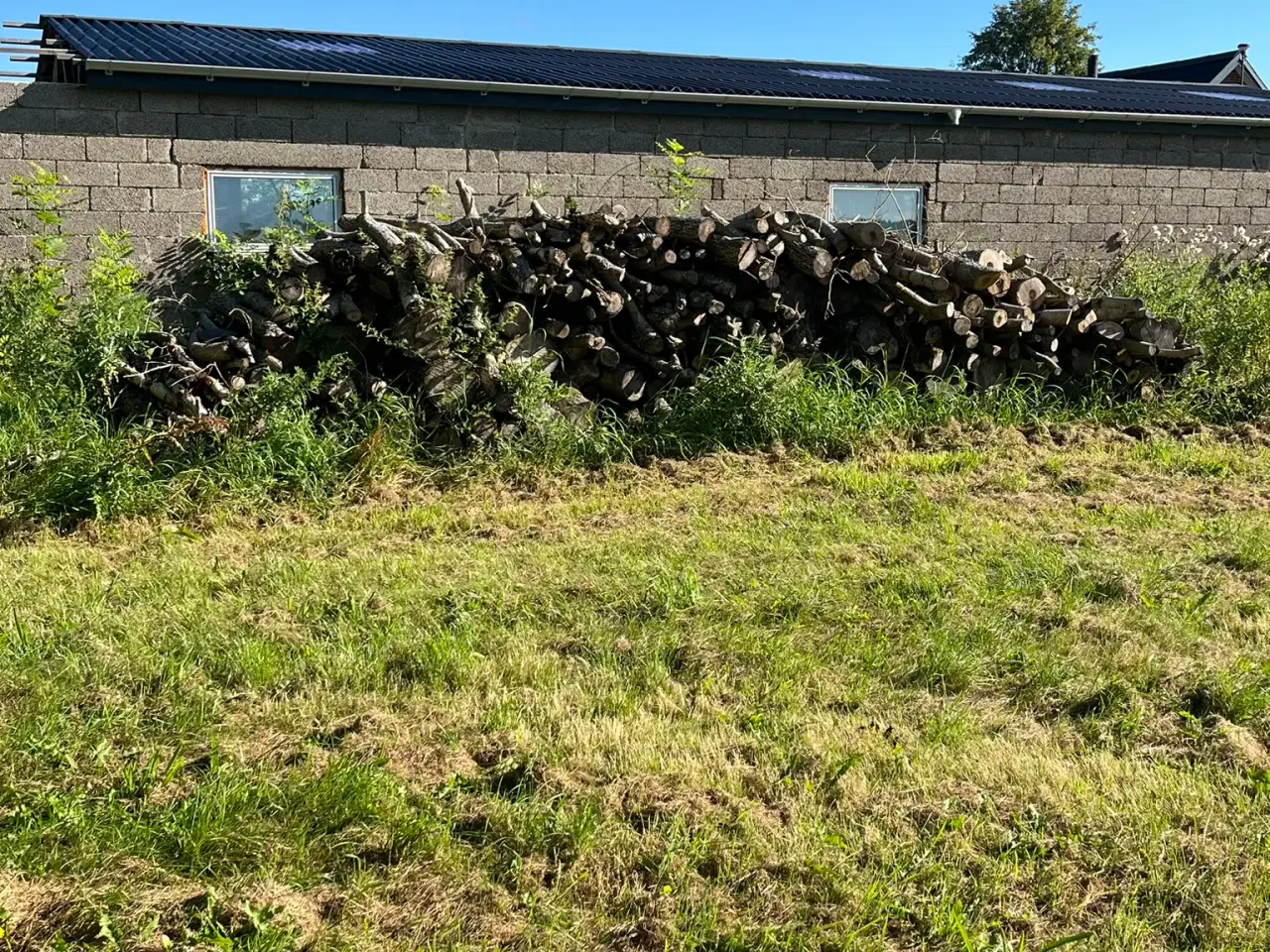 Billede 1 - Brænde