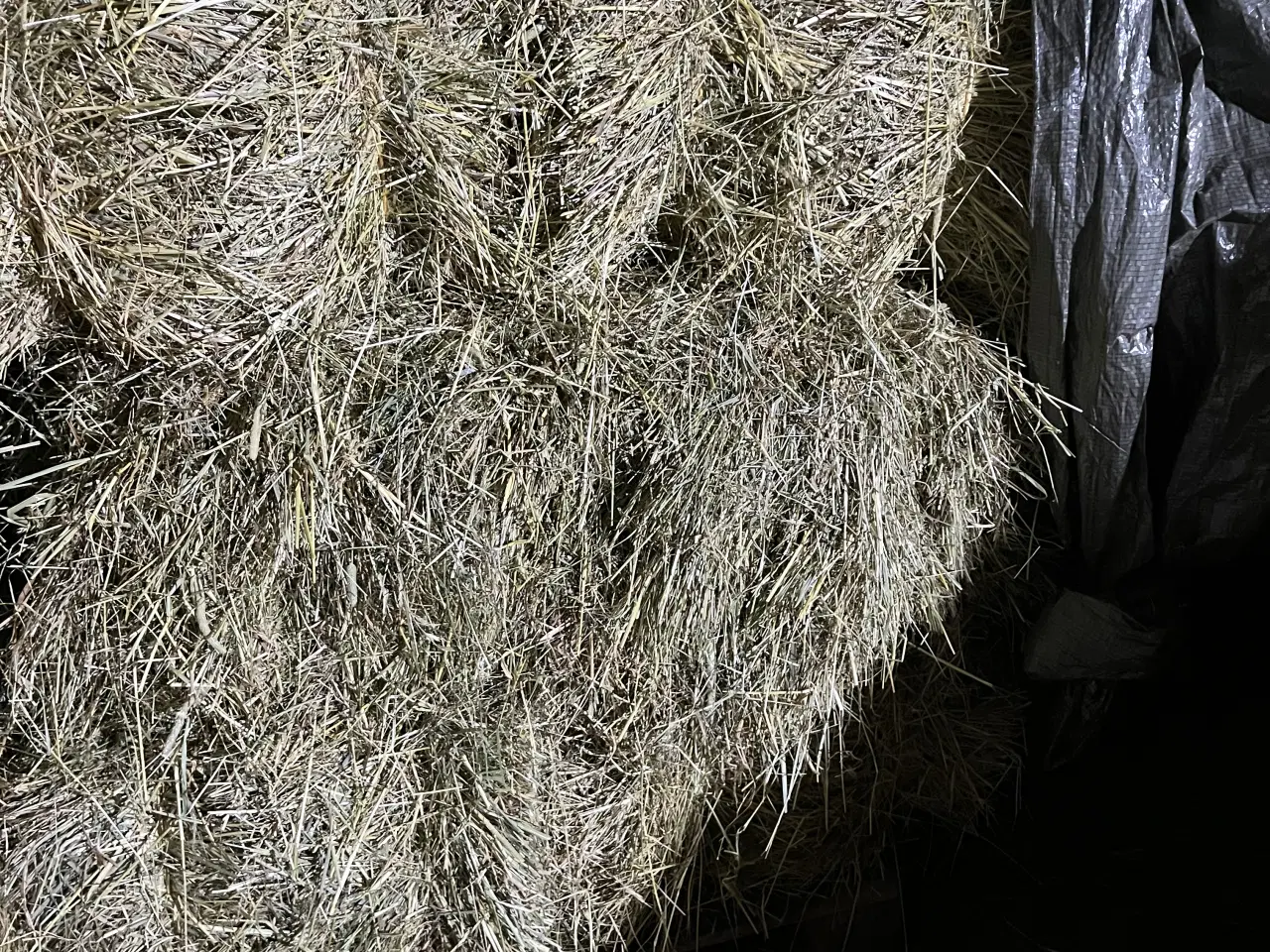 Billede 1 - Lækker hø Morten Koch baller