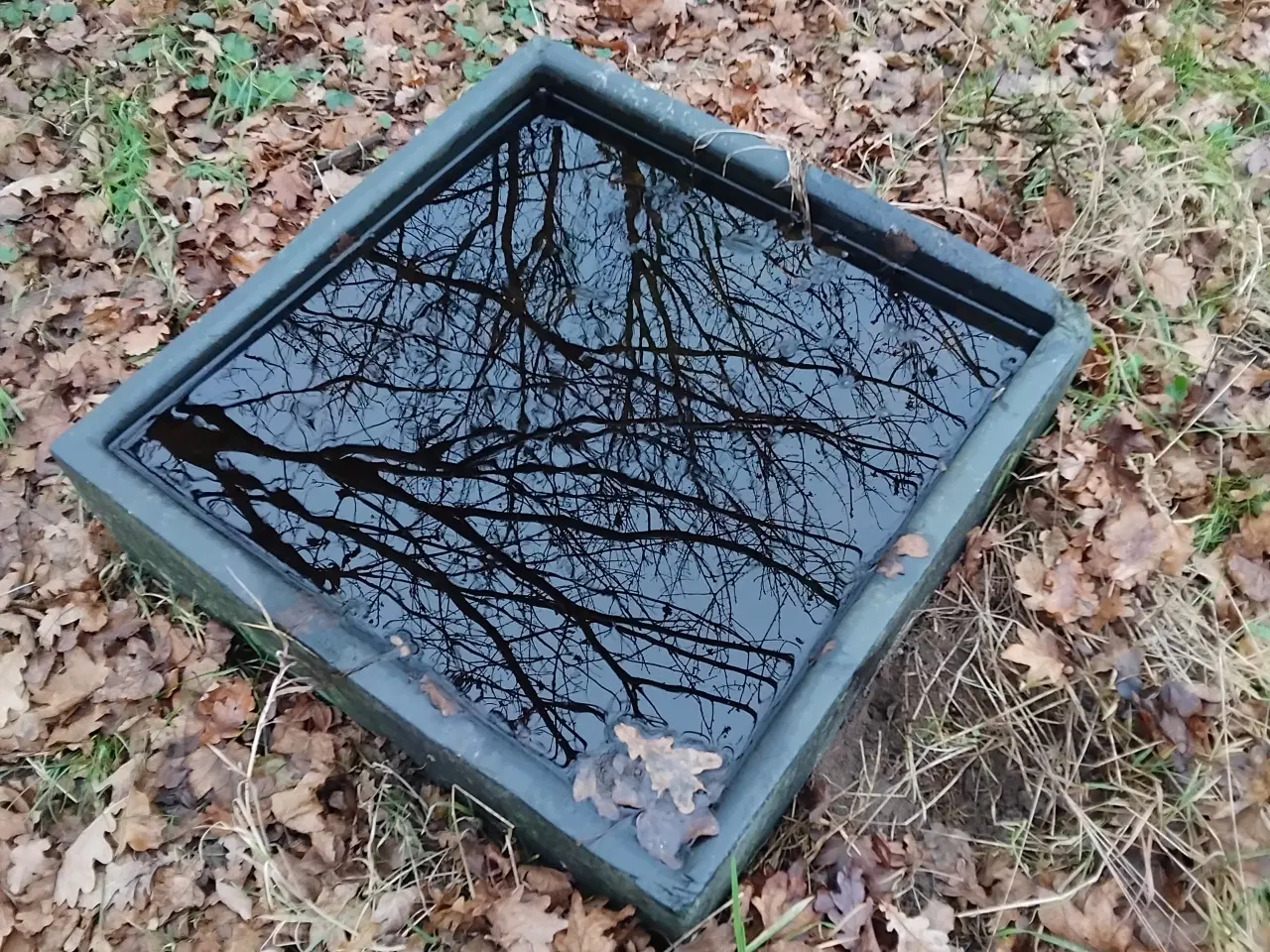 Billede 1 - Mark fodertrug