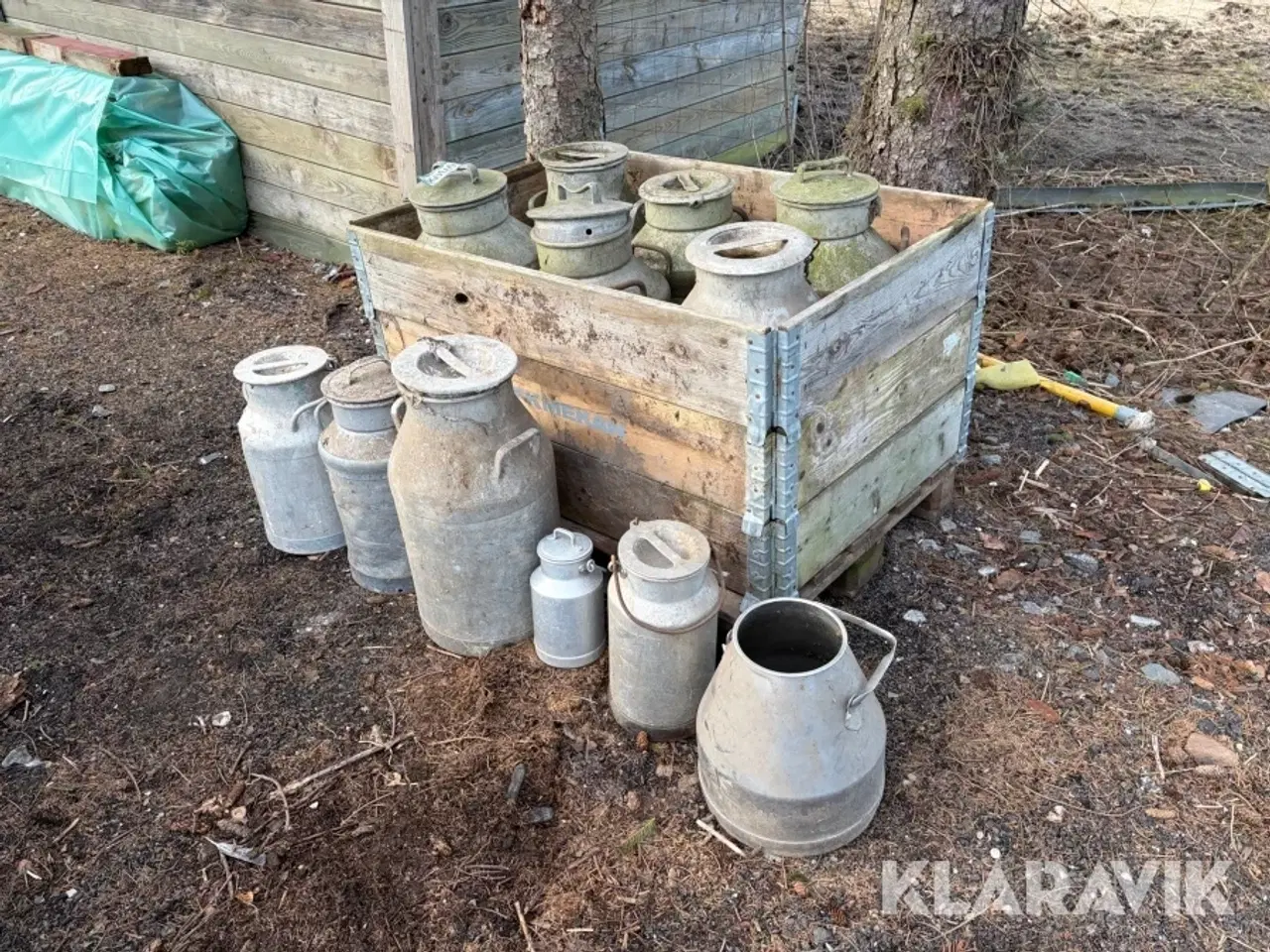 Billede 1 - Mælkejunger 12 styk samlet lot