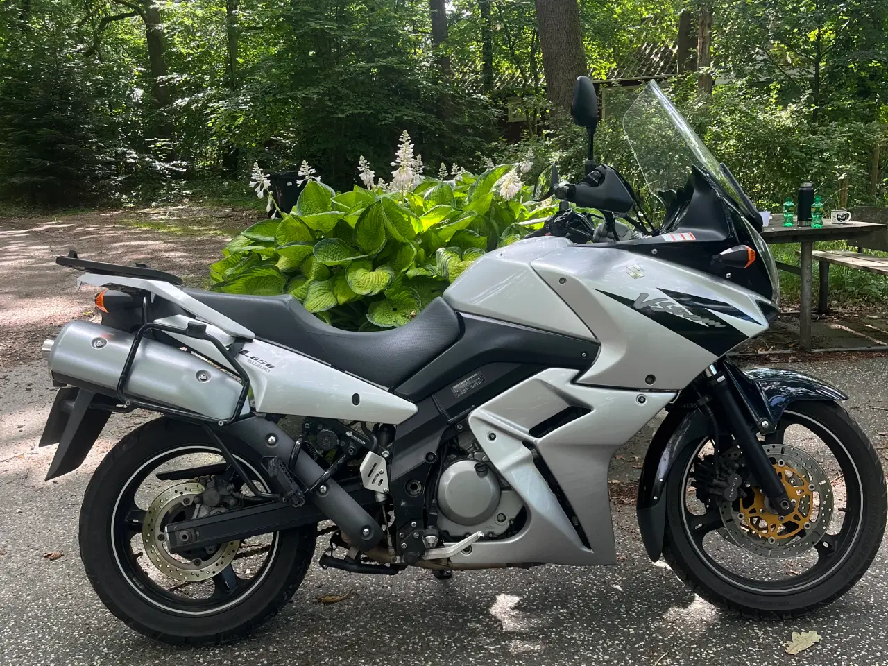 Billede 9 - Flot nysynet Suzuki dl 650 v strom