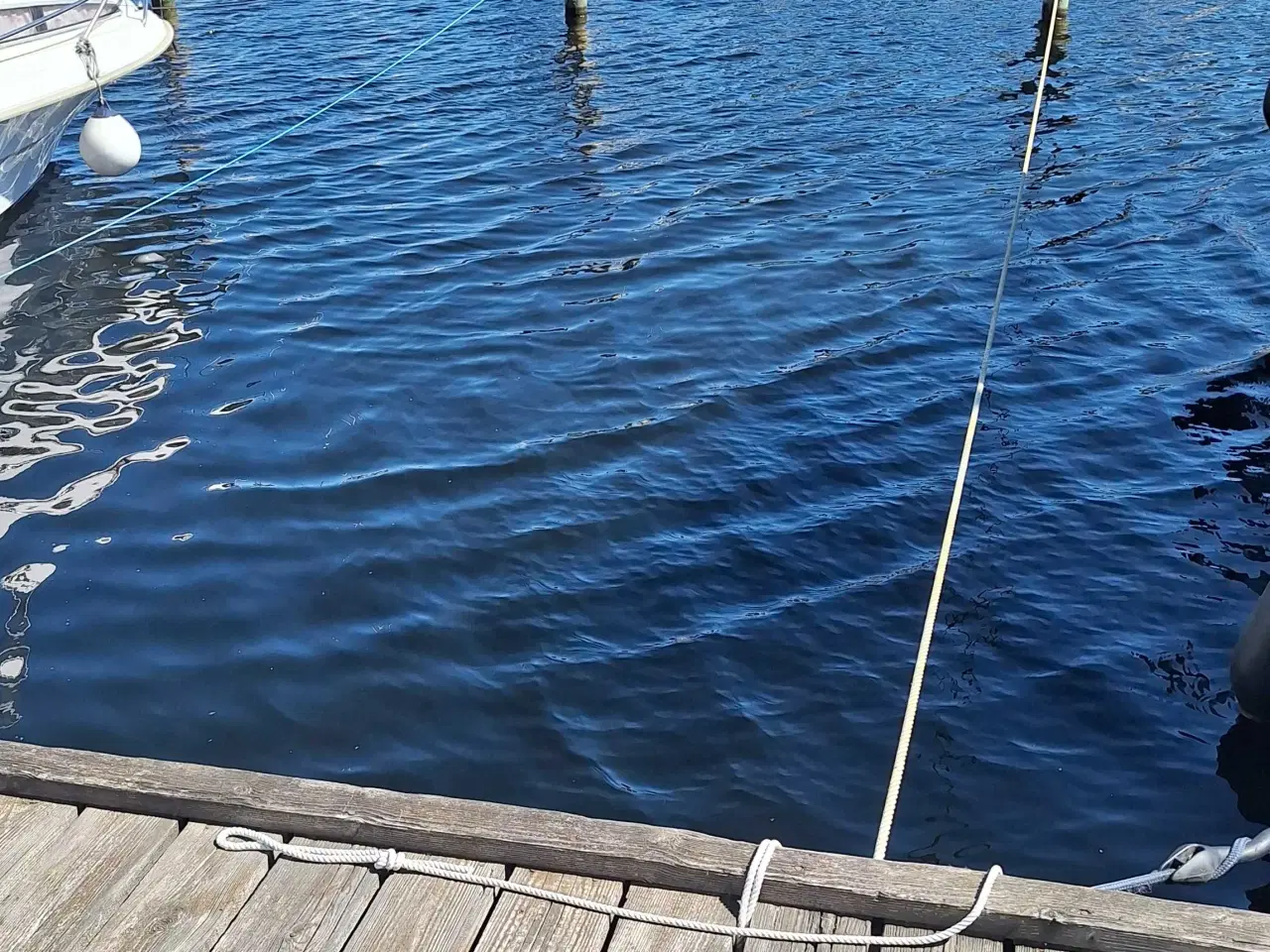 Billede 2 - Bådplads øer maritime ferieby