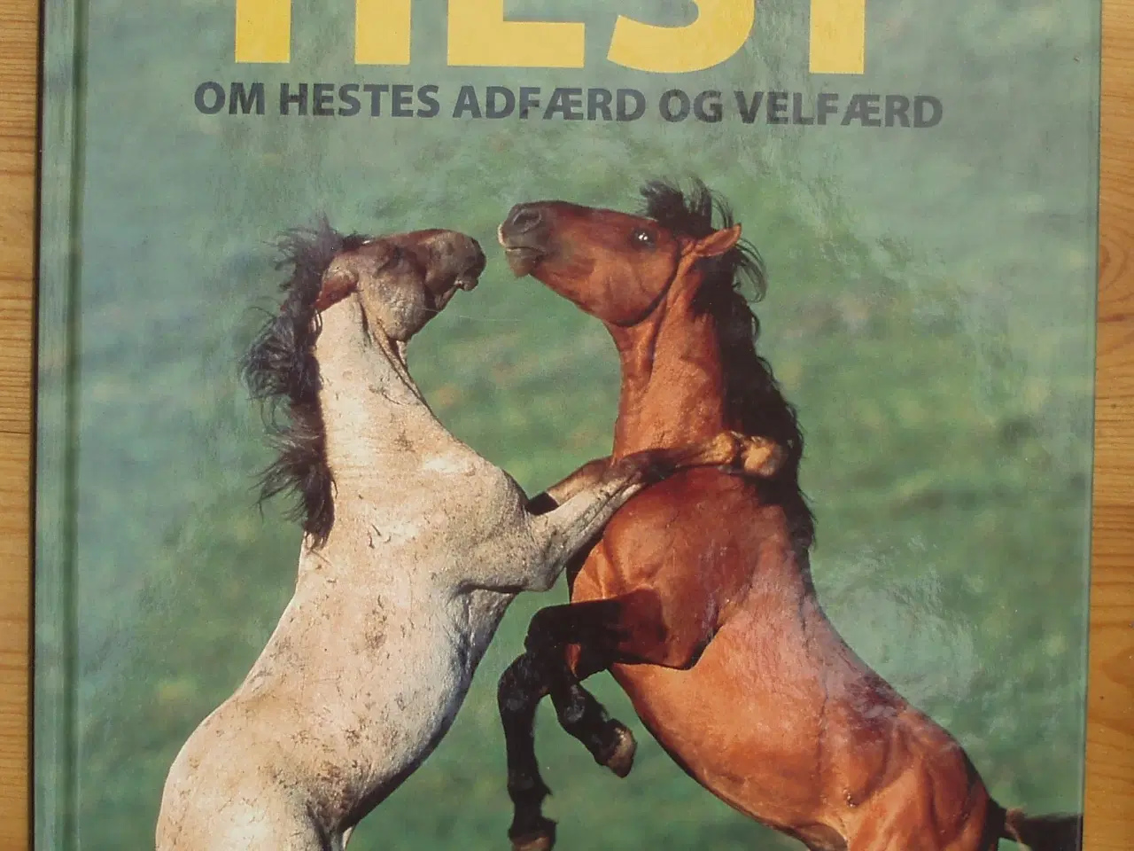 Billede 1 - En hest er en hest, om hestes adfærd og velfærd