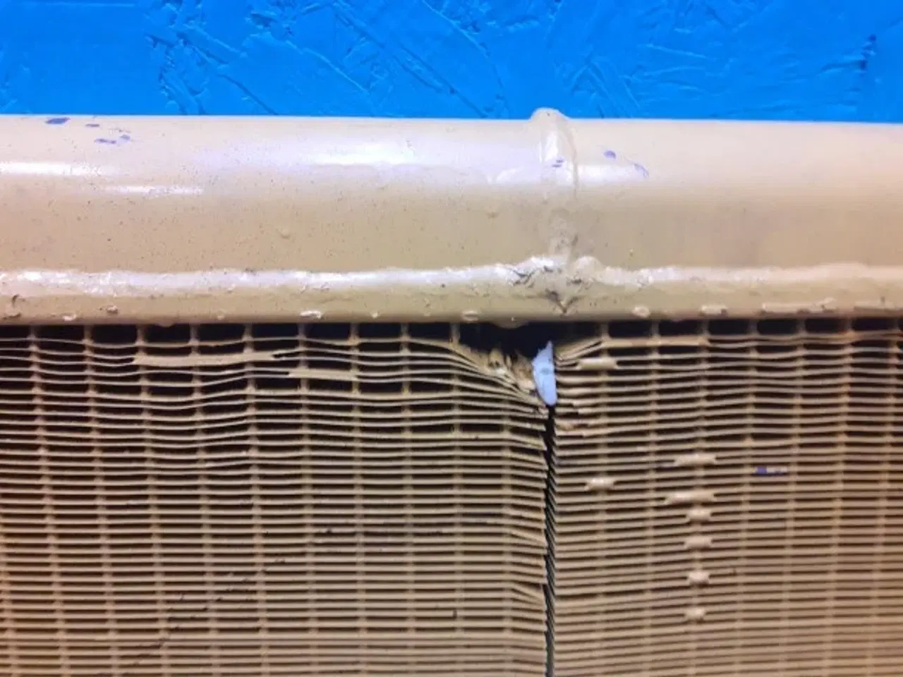 Billede 11 - Ukendt Oliekøler