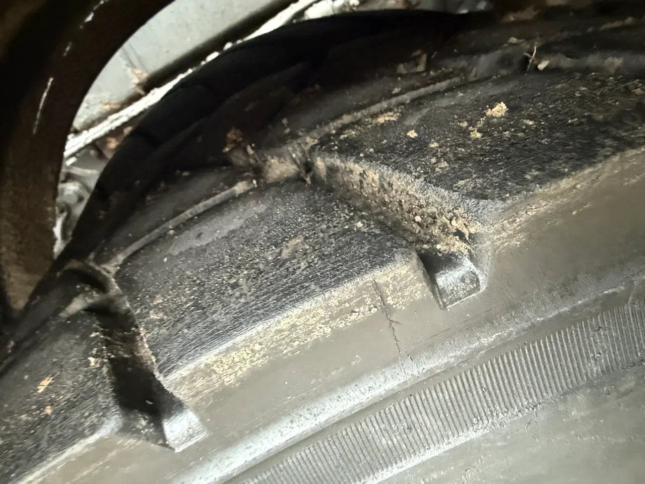 Billede 5 - Scania R560 V8