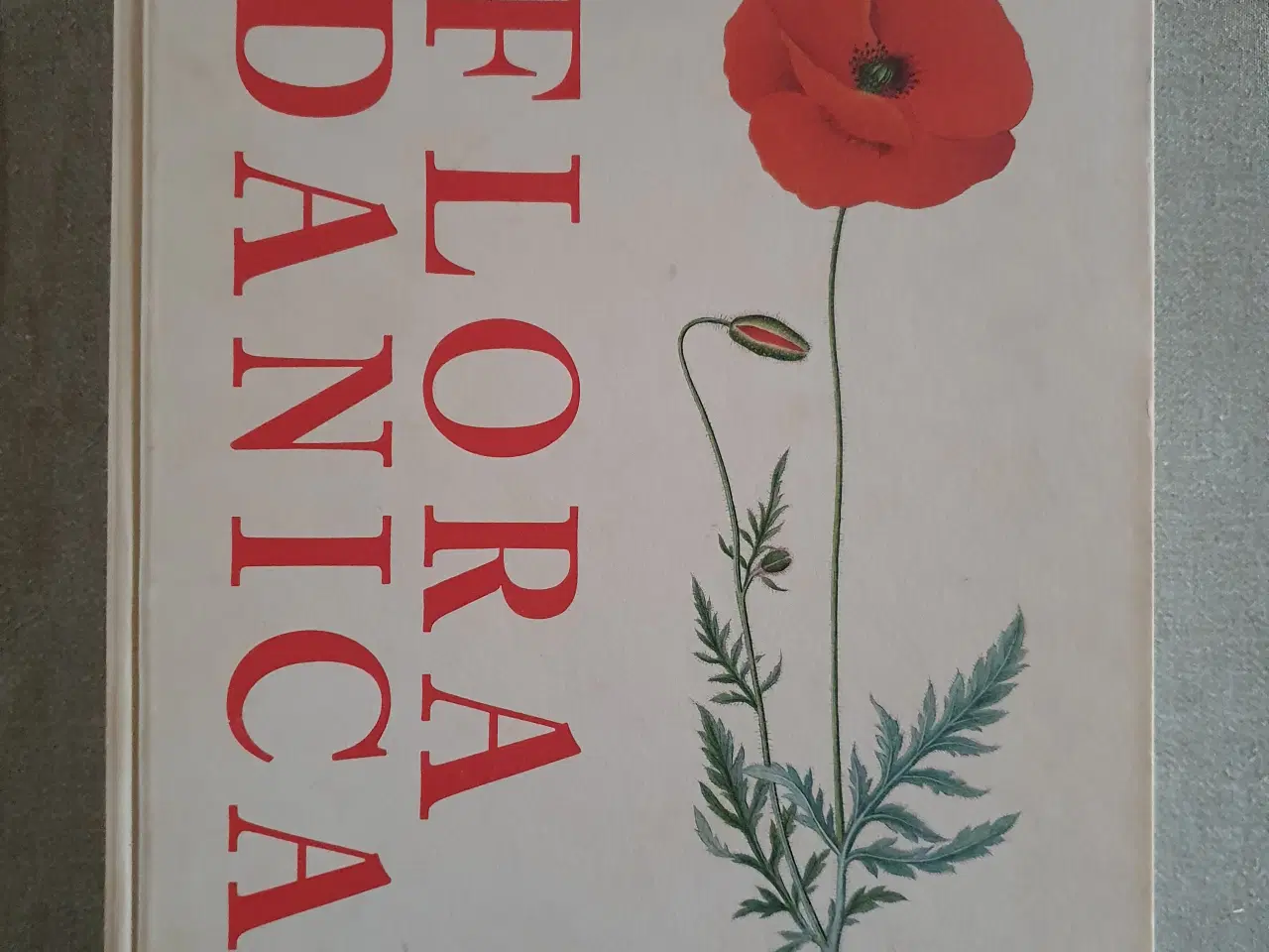 Billede 1 - Flora Danica. Botanik