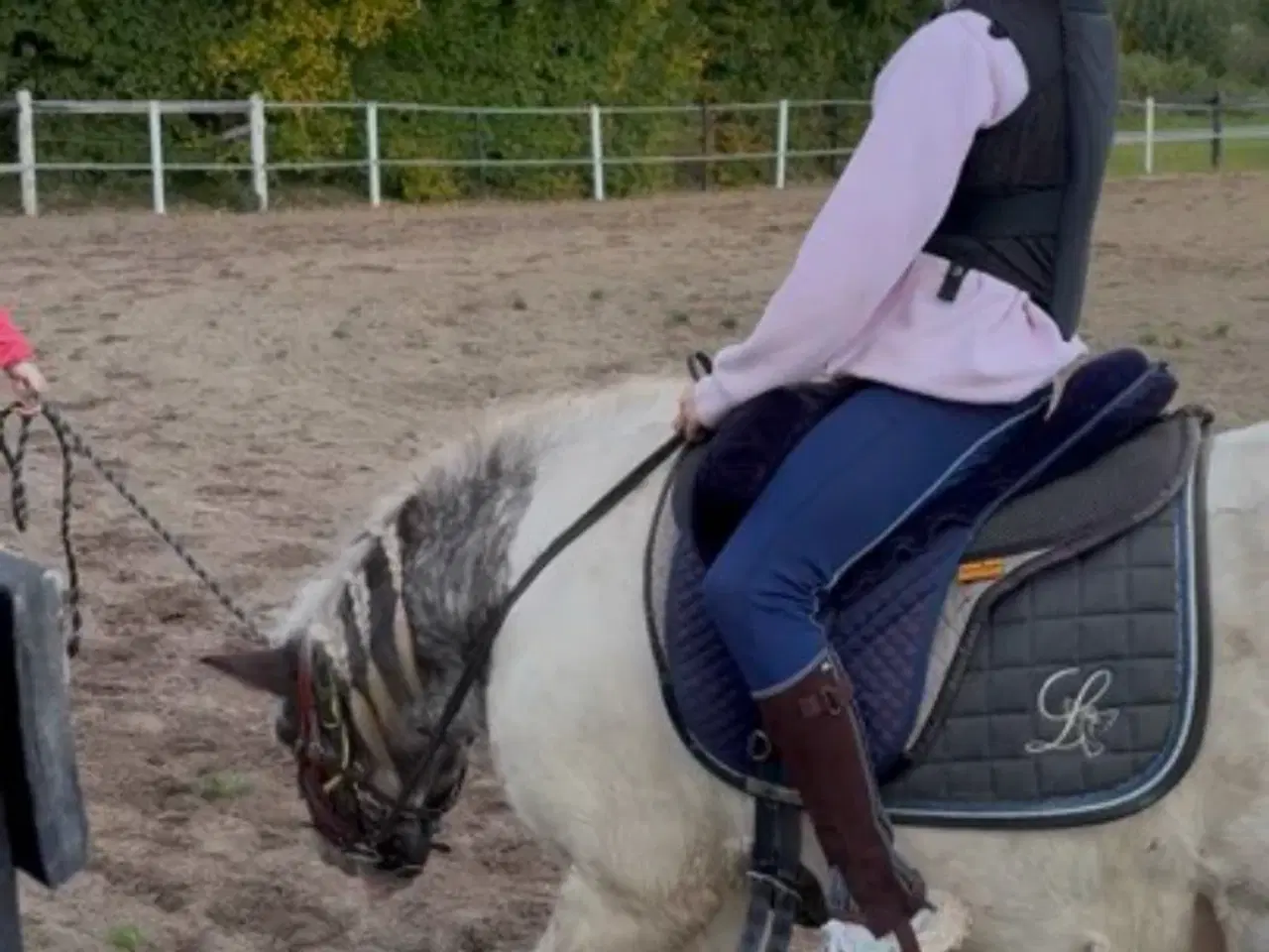 Billede 6 - Shetland blænding