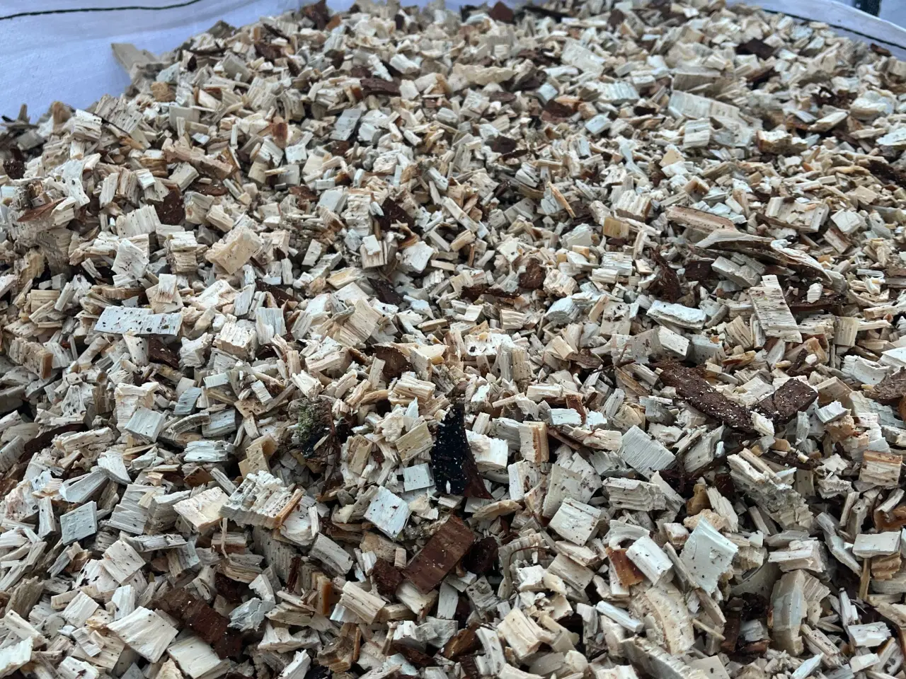 Billede 2 - Frisk lys flis i 1 m3 sække