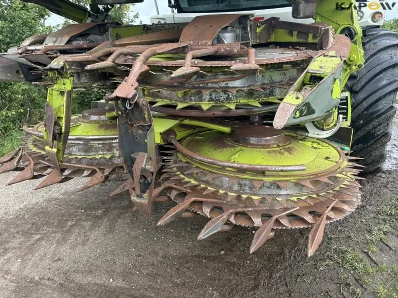 Billede 5 - CLAAS Orris 750 Majsskærebord