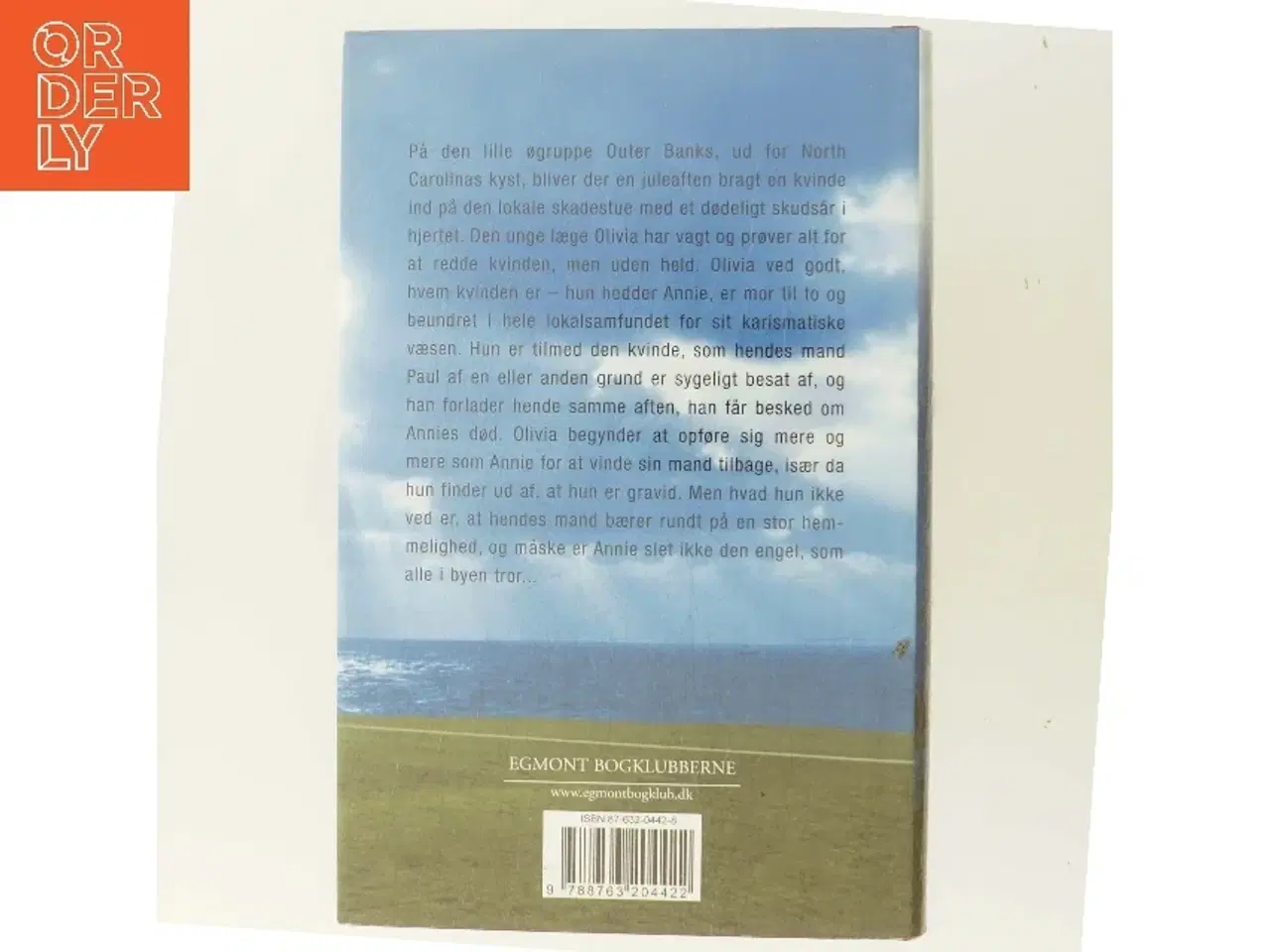 Billede 3 - Sandhedens smerte af Diane Chamberlain (Bog)