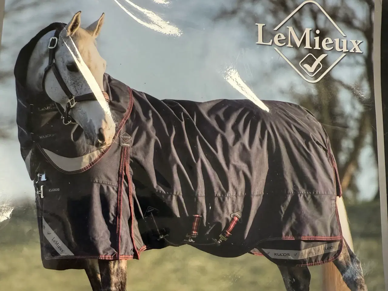 Billede 19 - LeMieux Kudos let udedækken 100g