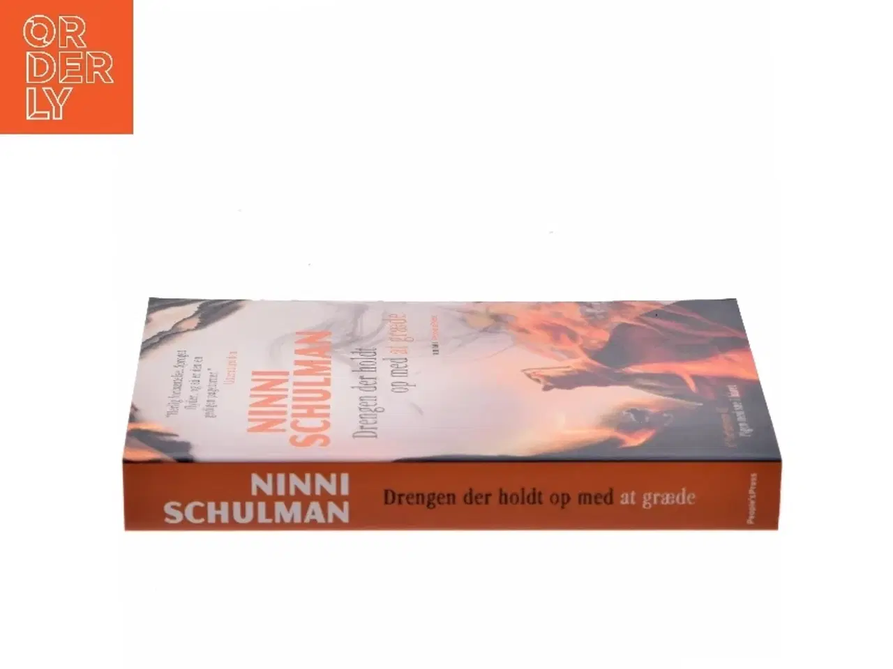 Billede 2 - Drengen der holdt op med at græde : kriminalroman af Ninni Schulman (Bog)