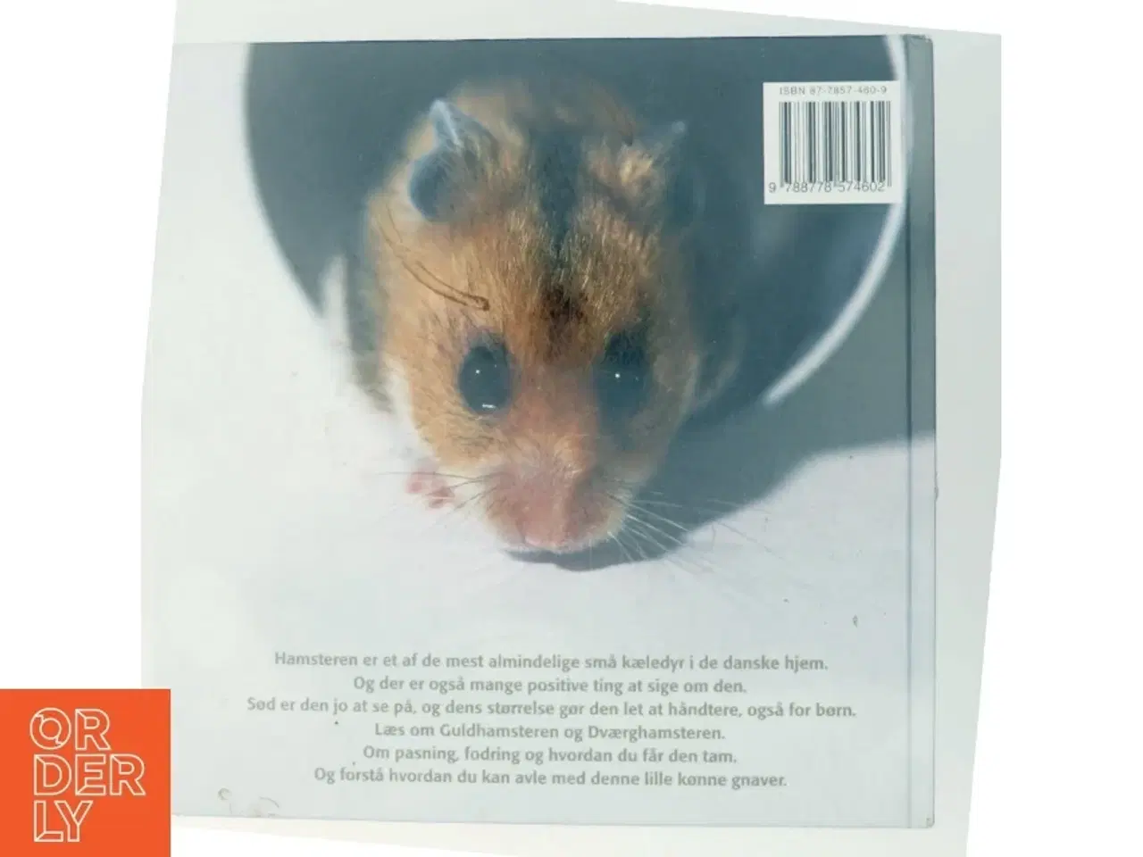 Billede 3 - Hamstere af Kenneth Worm (Bog)