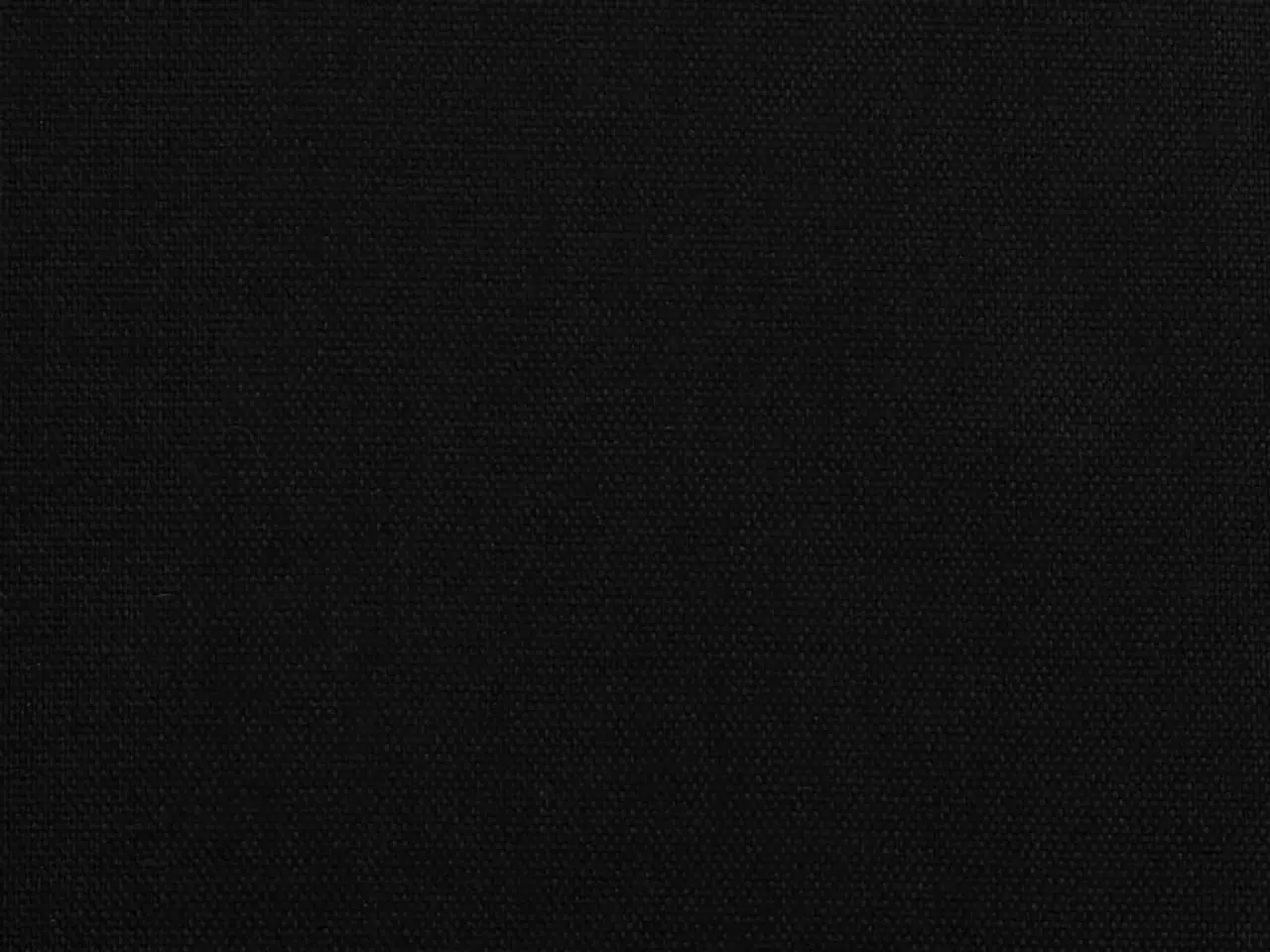 Billede 12 - Cykeltrailer til kæledyr oxfordstof og jern sort