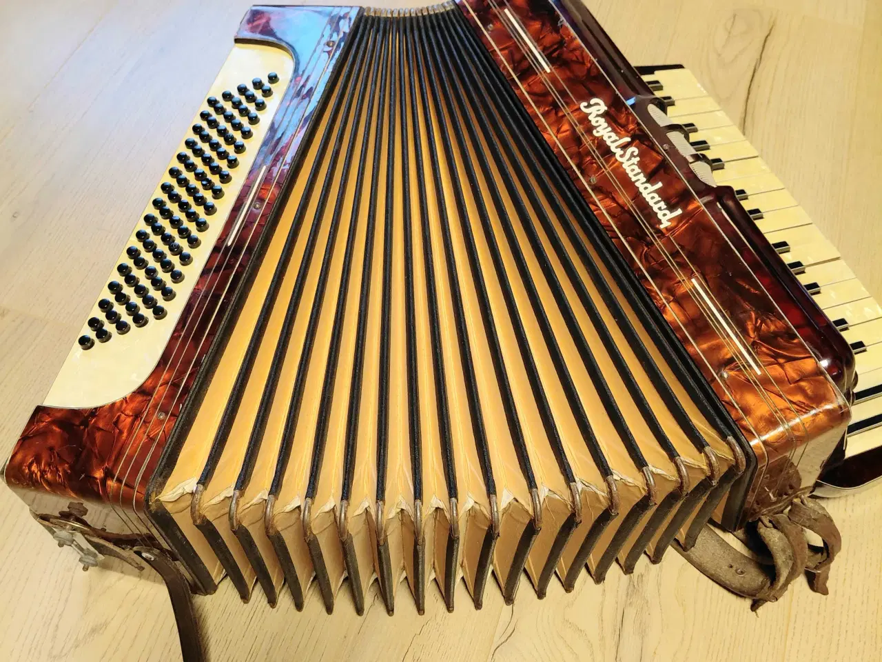 Billede 2 - Harmonika RoyalStandard