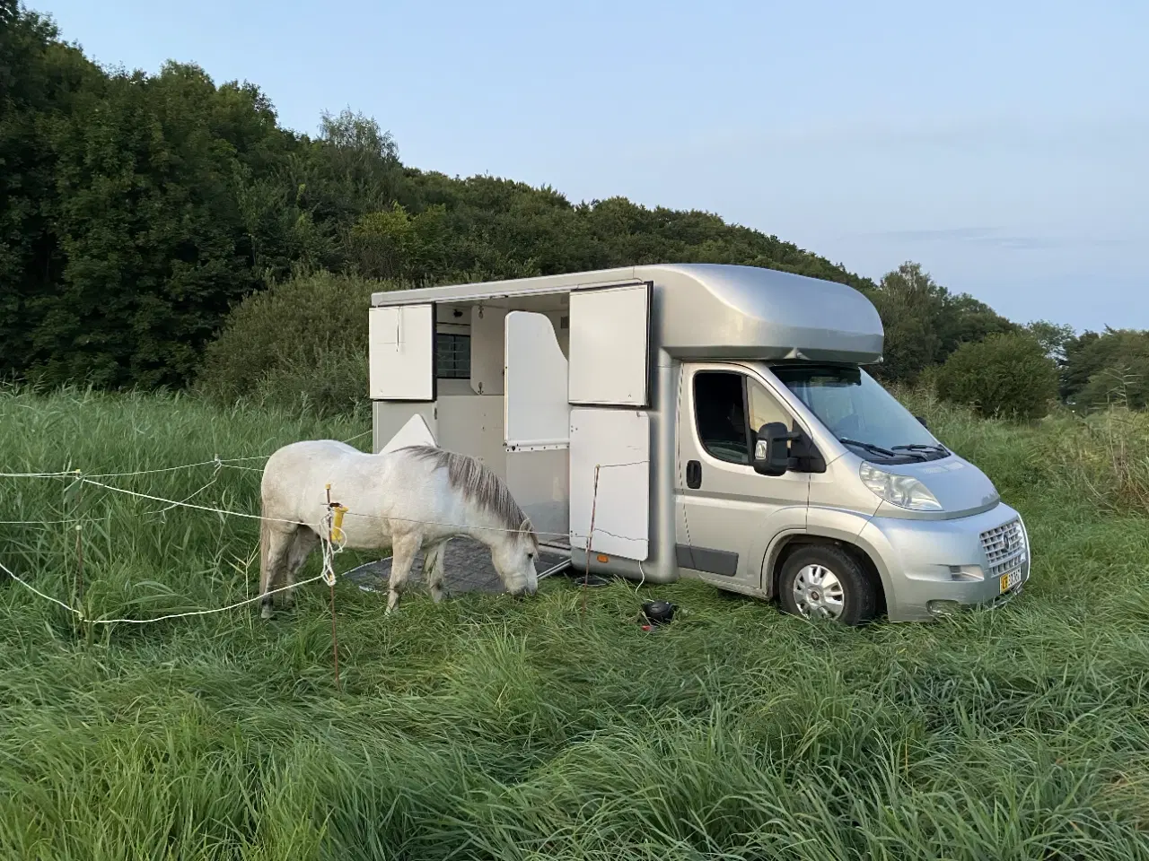 Billede 1 - Hestetransport sælges