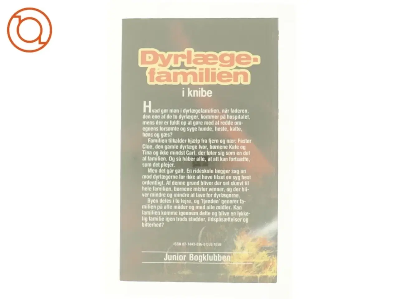 Billede 2 - Dyrlæge-familien i knibe af Christine Pullein-Thompson (bog)