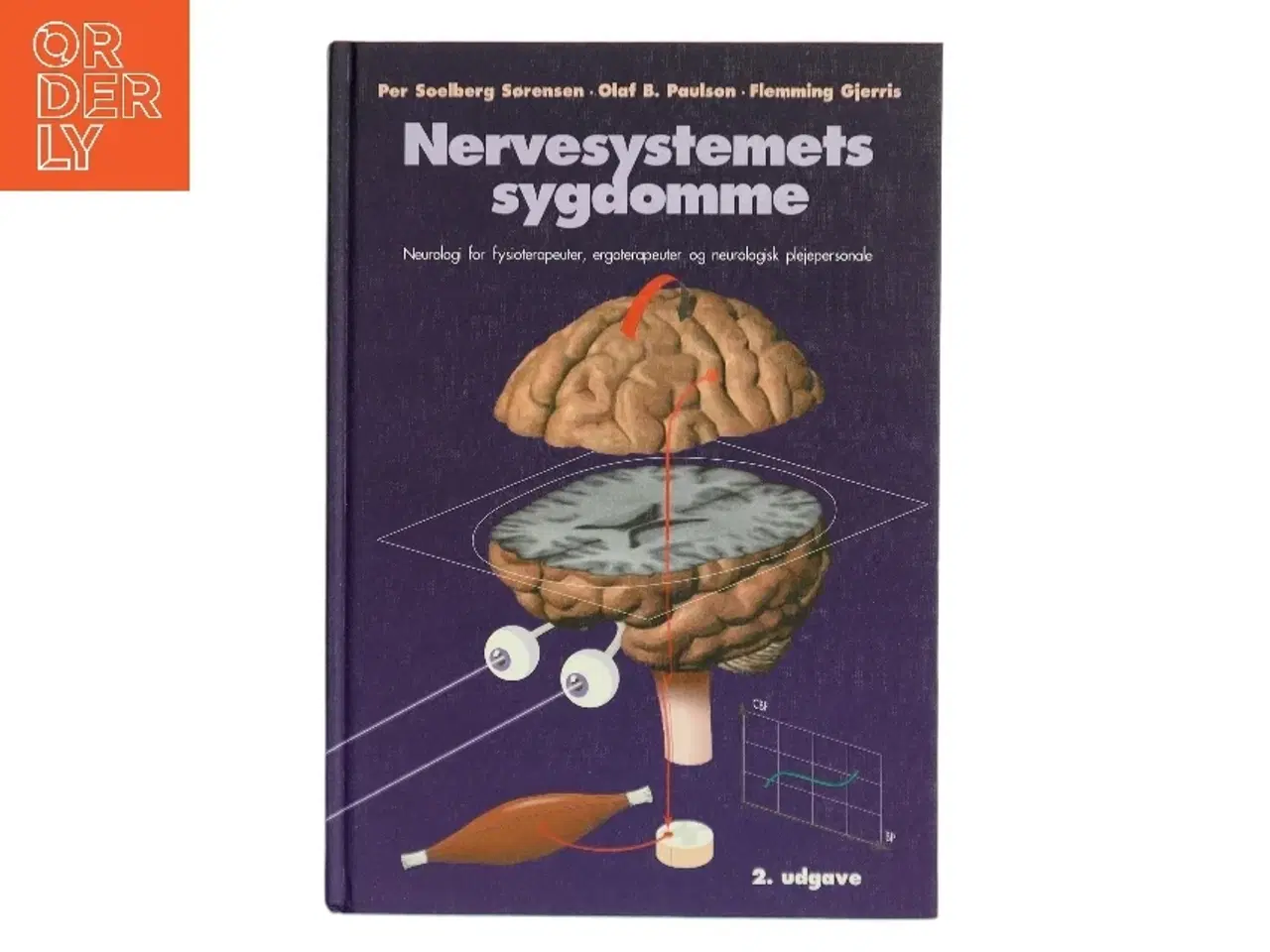 Billede 1 - Nervesystemets sygdomme : neurologi for fysioterapeuter, ergoterapeuter og neurologisk plejepersonale (Bog)