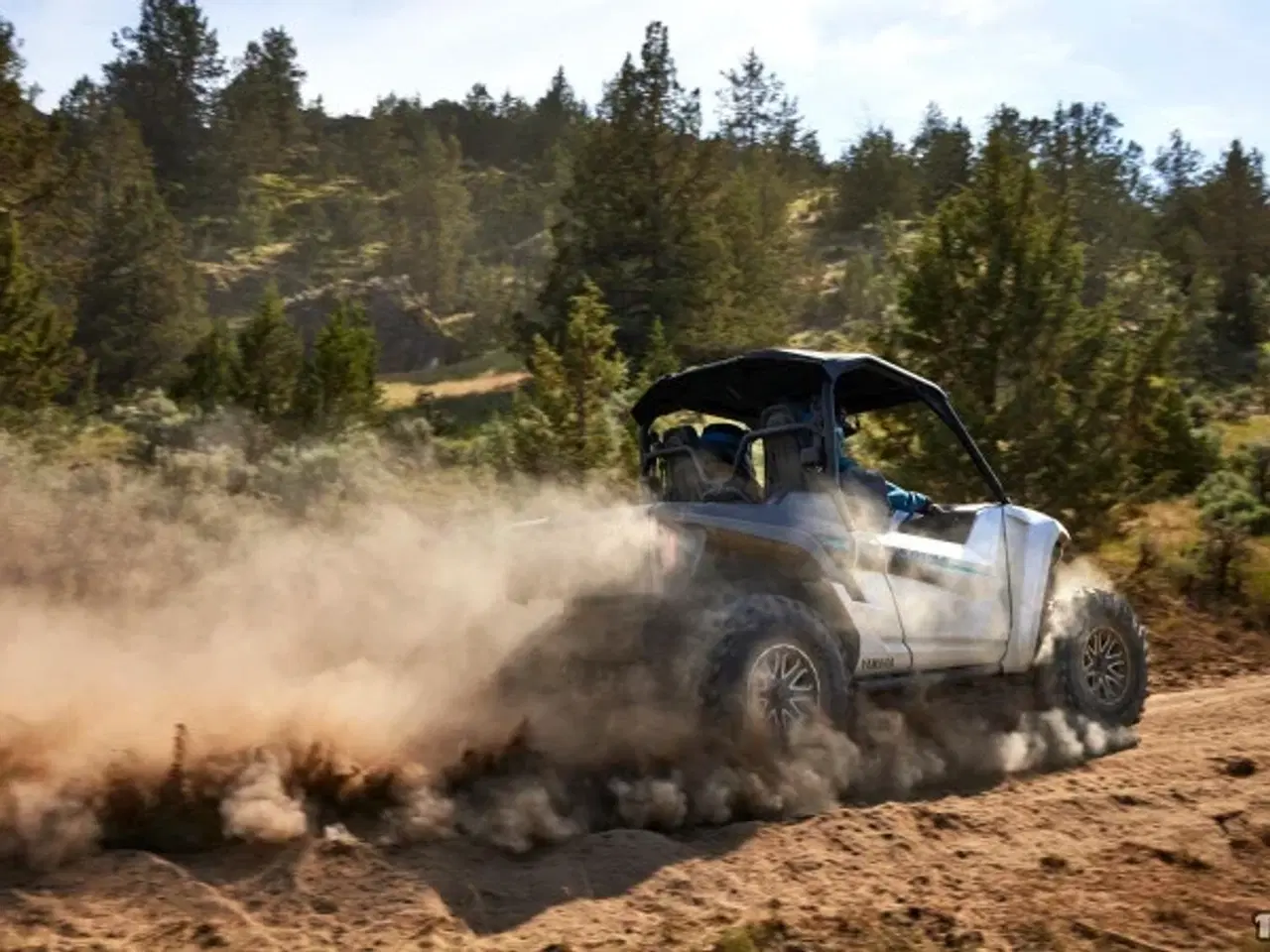 Billede 3 - Yamaha Wolverine RMAX2 1000 LE