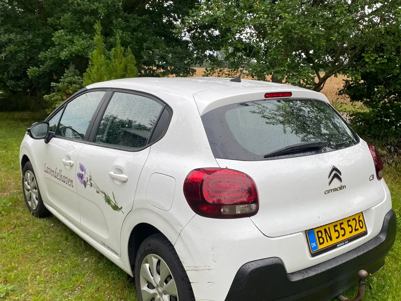Billede 2 - Citroën C3 BlueHDi 75 Feel+ Van