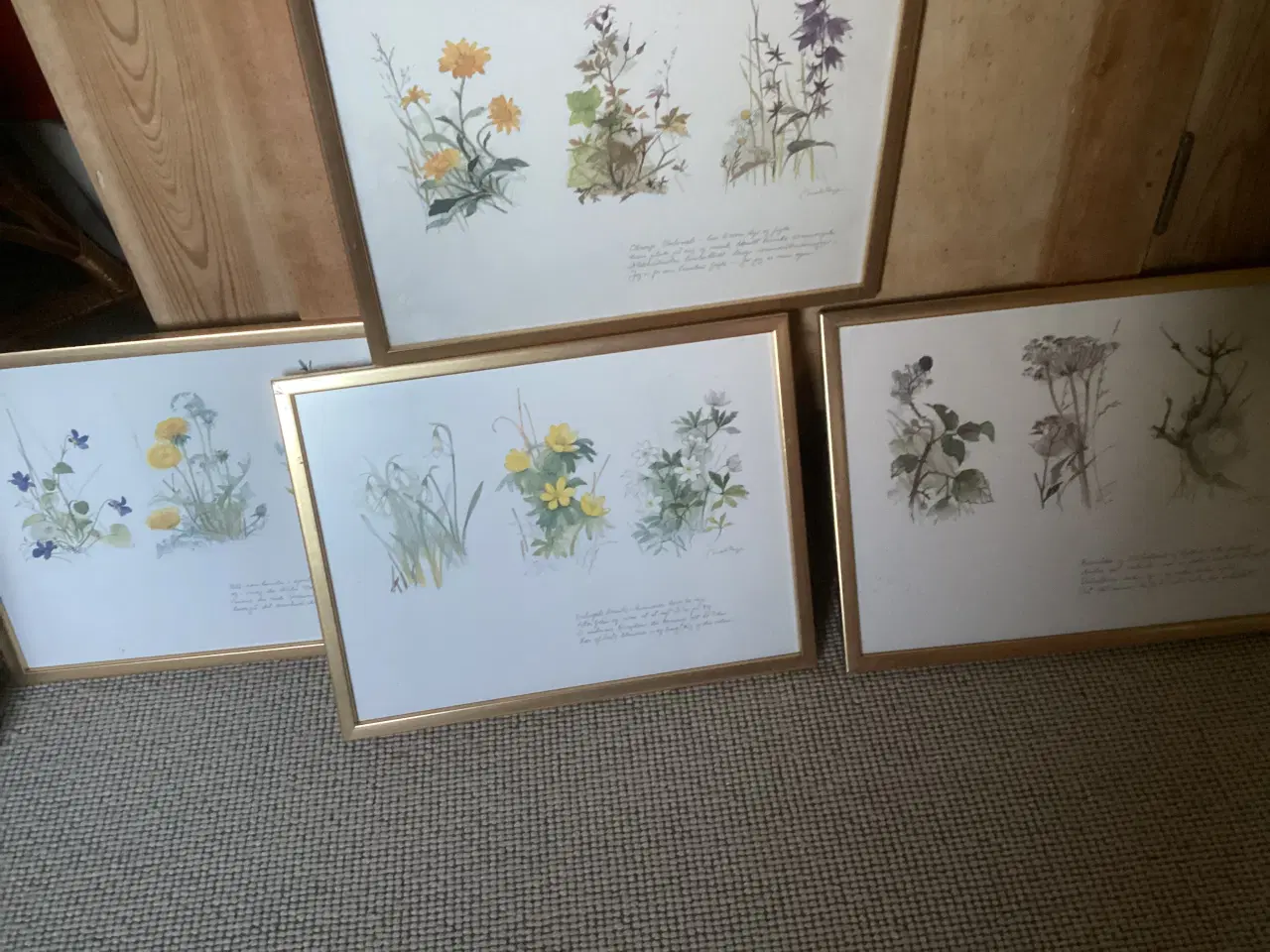 Billede 1 - 4 billeder sælges sammen for 100 kr