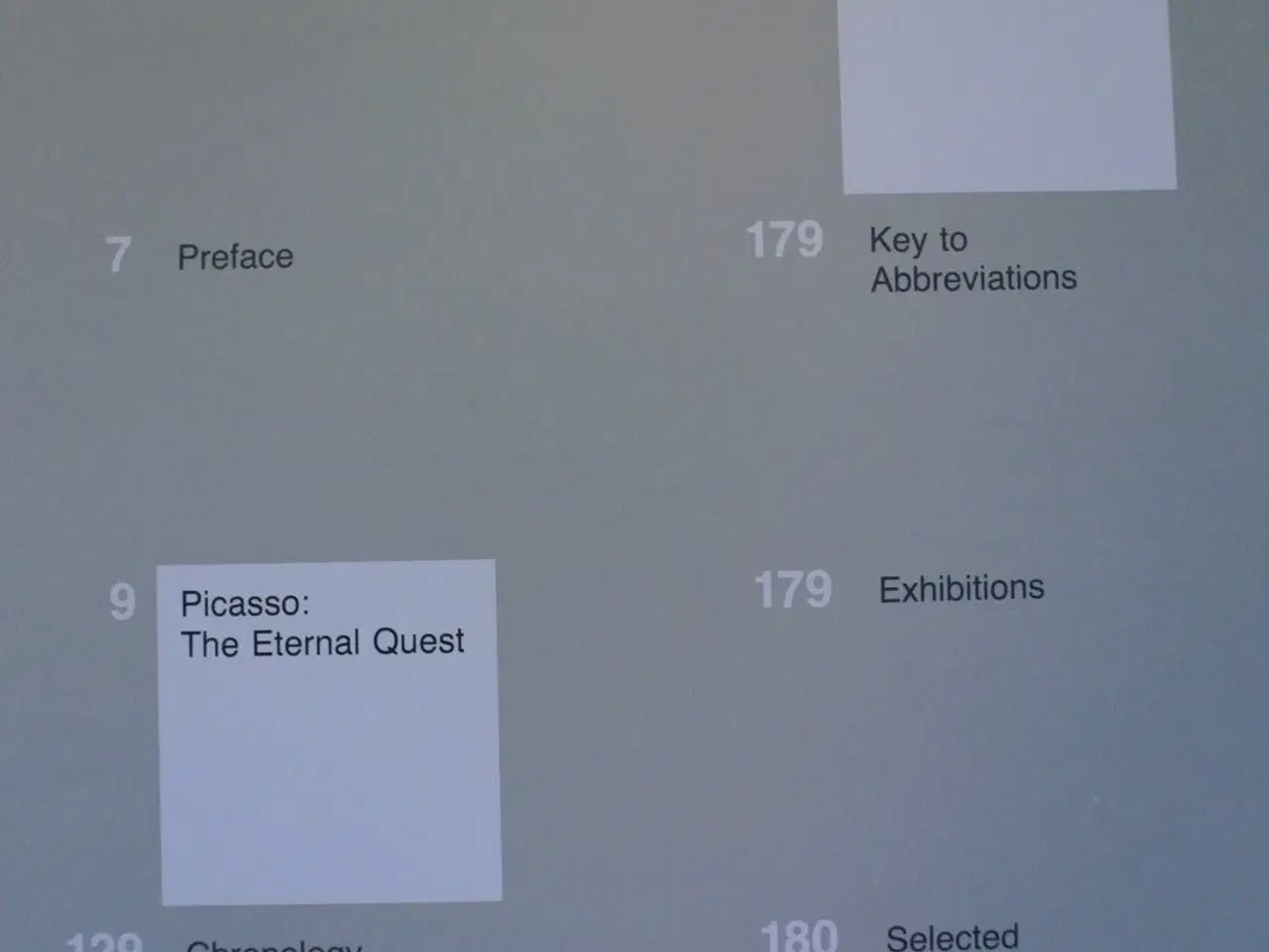 Billede 2 - picasso - the eternal quest  by anatoly podksik