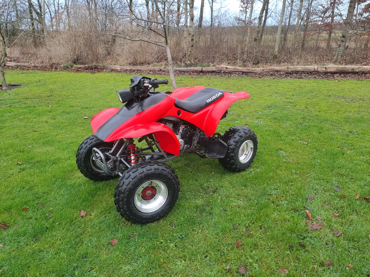 Billede 3 - Honda trx300ex 