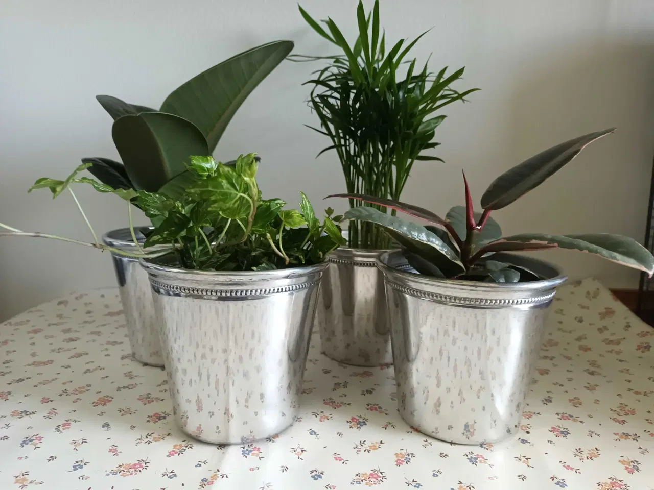 Billede 2 - 4 Planter med sølvfarvet potteskjulere