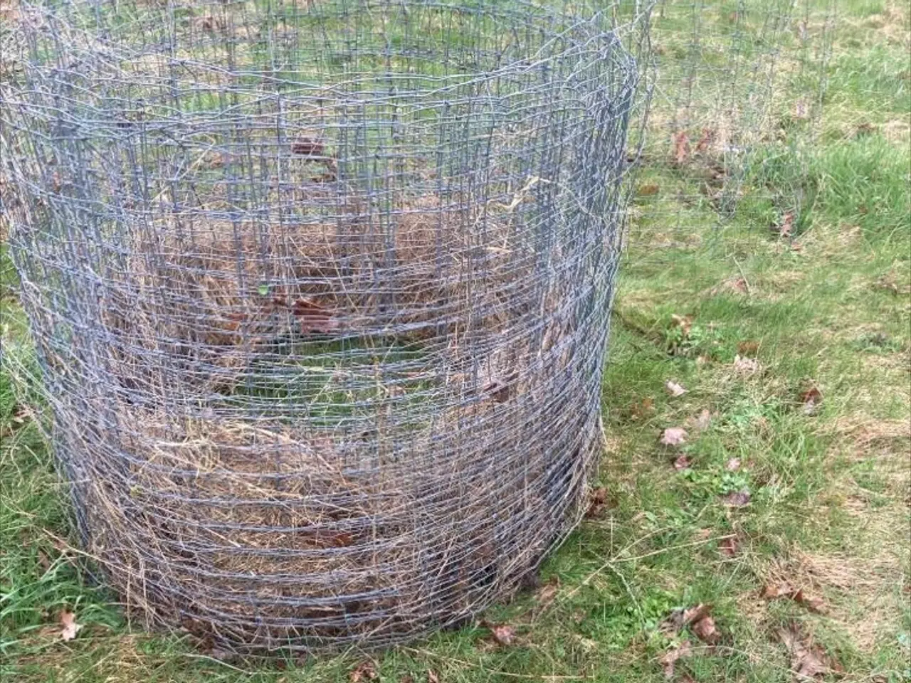Billede 1 - Dyrehegn
