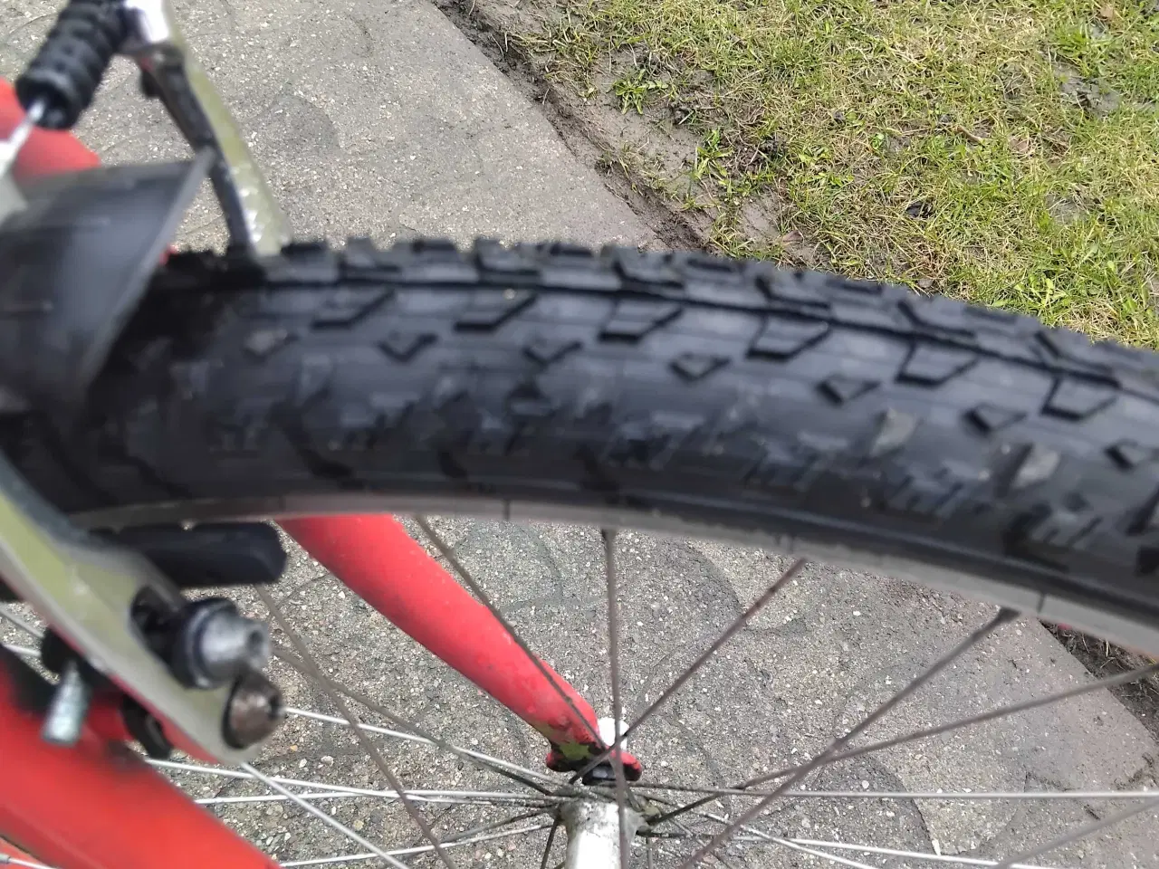 Billede 4 - Peaguet orgin